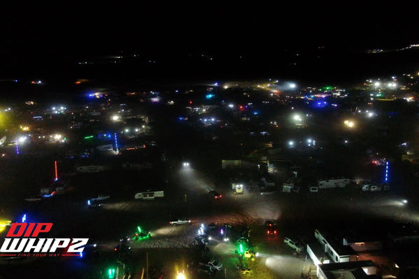 When the Desert Comes Alive After Dark