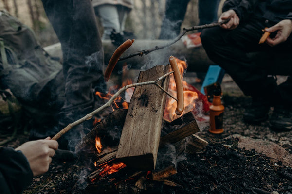 Survival Skills Every Camper Should Master